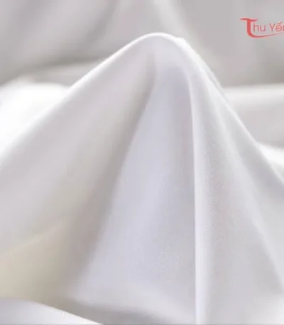 Vải thun Trắng Thu Yến