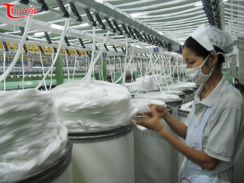 Cơ sở cung cấp vải cotton, vải thun uy tín - Thu Yến